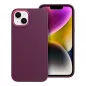 Apple iPhone 13 Hülle FRAME Elegant  Lila (Purple)