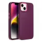 Apple iPhone 13 Hülle FRAME Elegant  Lila (Purple)