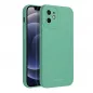 Apple iPhone 12 Hülle Roar Luna Monochromatische, Stilvoll, Ein ästhetisches Accessoire  Grün