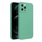 Apple iPhone 12 Pro Max Hülle Roar Luna Monochromatische, Stilvoll, Ein ästhetisches Accessoire  Grün