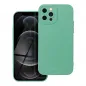 Apple iPhone 12 Pro Hülle Roar Luna Monochromatische, Stilvoll, Ein ästhetisches Accessoire  Grün