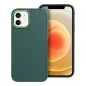 Apple iPhone 12 Hülle FRAME Elegant  Grün