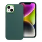 Apple iPhone 13 Hülle FRAME Elegant  Grün