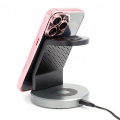 Apple iPhone 13 Hülle Electro Mag MagSAFE  Roségold