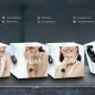 HiFuture AURA