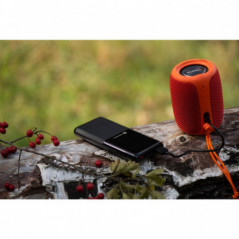 for Power Bank