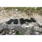Forcell Power bank F-Energy P20k1 PD 20W QC 20000mAh schwarz Forcell Power bank F-Energy P20k1 PD 20W QC 20000mAh schwarz