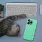 Apple iPhone 16 Plus Hülle Silicone 2mm Minzig